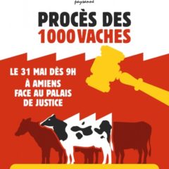 6 militants de la Confédération paysanne, dont un savoyard, jugés ce 31 mai à Amiens pour s’être opposés à la ferme des mille vaches