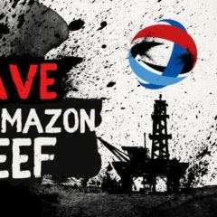 Ce samedi 22 septembre, manifestation à Annecy contre TOTAL, pollueur de l’Amazonie