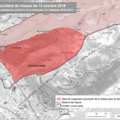 Suite à l’accident de chasse mortel, le préfet de la Haute-Savoie prend des mesures coercitives mesurées.