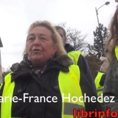 Gilets jaunes : l’extrême droite populiste à la manœuvre