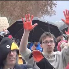 Marcheurs pour le climat et Gilets Jaunes : même combat !