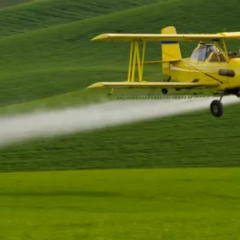 Pesticides, Qu’en faire ?