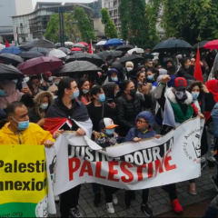 Ce samedi 22 mai à Annecy, nouvelle manifestation de soutien au peuple palestinien