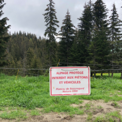 Le projet de retenue collinaire à la Clusaz approuvé par les commissaires enquêteurs