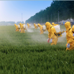 En France, l’augmentation en 10 ans de 25% des pesticides atteste un échec cuisant du gouvernement