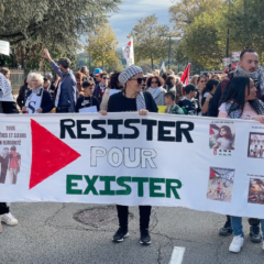 Les juges autorisent la manifestation pour la Palestine interdite à Annecy par le Préfet de Haute-Savoie