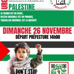 Dimanche 26 novembre manifestation pour la Palestine à Annecy