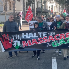 220 manifestants pour la Palestine ce samedi 27 janvier