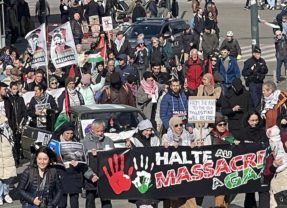 250 manifestants pour Gaza à Annecy