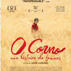 Vendredi 24 mai, pour les droits des femmes, les mutuelles de France vous invite au film « O corno » à la turbine