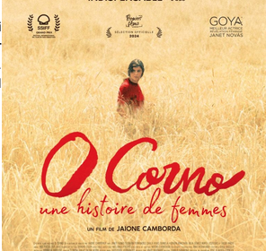 Vendredi 24 mai, pour les droits des femmes, les mutuelles de France vous invite au film « O corno » à la turbine