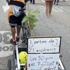 L’arbre de l’espérance contre l’extrême droite se ballade à vélo autour du lac pour rejoindre Paris