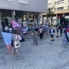 Une centaine de manifestants à Annecy pour dénoncer le génocide à Gaza