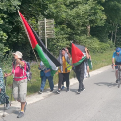 Ce 14 juillet, le lac d’Annecy est devenu palestinien