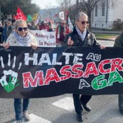 80 manifestants pour la Palestine ce samedi 15 février 2025 à Annecy