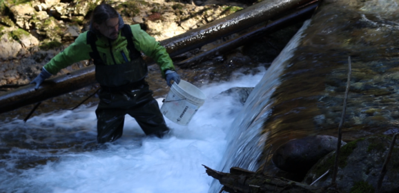 Filmer la biodiversité de nos cours d’eau pour mieux la protéger