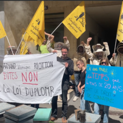 Les abeilles ont du plomb dans l’aile
