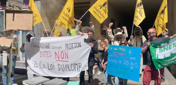 Les abeilles ont du plomb dans l’aile