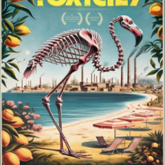 Mercredi 18 juin 2025 TOXICILY au Parnal