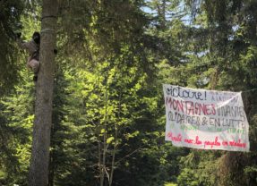 Coup d’arrêt au projet de 5ème retenue d’altitude de La Clusaz. Le bois de la Colombière à Beauregard est sauvé