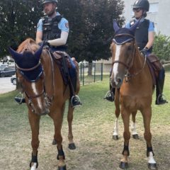 La gendarmerie au galop