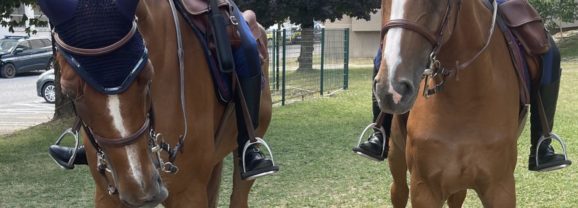 La gendarmerie au galop