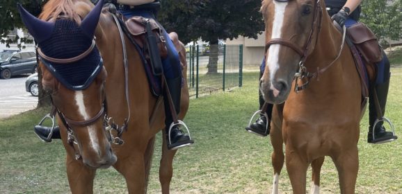 La gendarmerie au galop