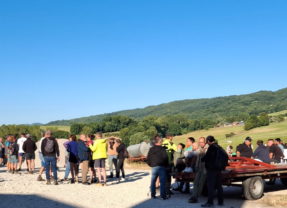 Répit pour les vaches de la ferme de Pierre-Jean Duchêne à Cessens