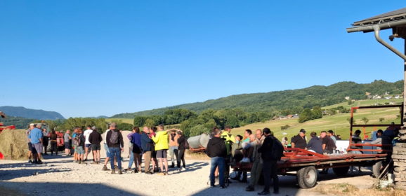 Répit pour les vaches de la ferme de Pierre-Jean Duchêne à Cessens