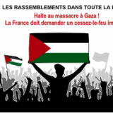 Rassemblement à Annecy pour la Palestine mardi 19 août