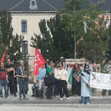 100 manifestants à Annecy en soutien au peuple palestinien