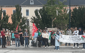 100 manifestants à Annecy en soutien au peuple palestinien