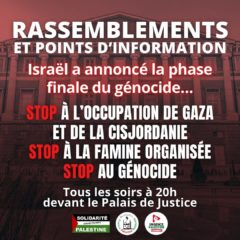 Rassemblements journaliers à Chambéry contre le génocide à Gaza