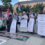 300 manifestants rassemblés à Annecy en solidarité avec les enfants de Gaza