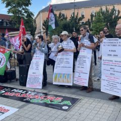 300 manifestants rassemblés à Annecy en solidarité avec les enfants de Gaza