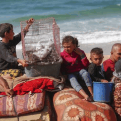 Daniel Mermet : Gaza, les mômes dans les bras
