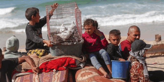 Daniel Mermet : Gaza, les mômes dans les bras