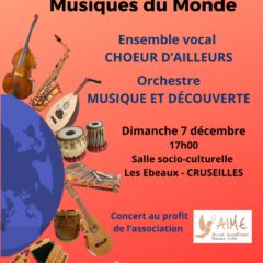 Dimanche 7 décembre concert Musiques du Monde à Cruseilles