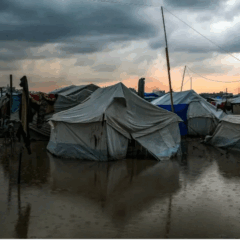 Ce mardi 23 décembre, à Annecy, procession au flambeau pour la Palestine
