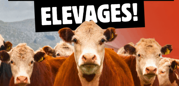 Blocage ce jeudi 18 décembre du péage de Alby sur chéran par les confédérations paysannes des Savoie