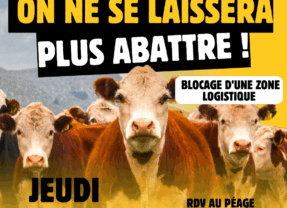 Ce jeudi 8 janvier, à Alby, la confédération paysanne appelle à une mobilisation citoyenne contre l&rsquo;abattage des troupeaux et l&rsquo;accord UE-Mercosur