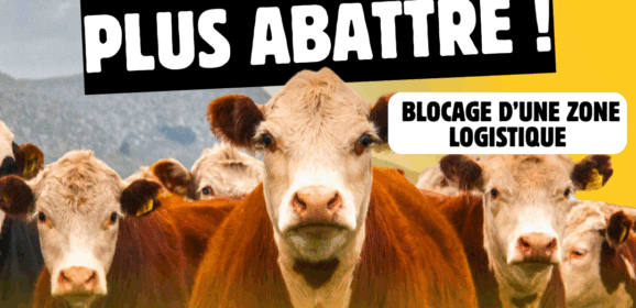 Ce jeudi 8 janvier, à Alby, la confédération paysanne appelle à une mobilisation citoyenne contre l&rsquo;abattage des troupeaux et l&rsquo;accord UE-Mercosur