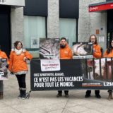 L214 dénonce la nourriture offerte aux clients des hôtels quatre étoiles Adagio préparée avec des animaux maltraités