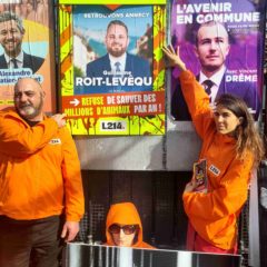 La condition animale, gros enjeu des municipales ?