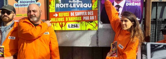 La condition animale, gros enjeu des municipales ?