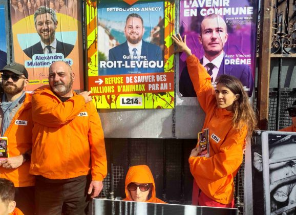 La condition animale, gros enjeu des municipales ?