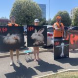 L214 demande à Carrefour de réduire la vente d&rsquo;animaux issus de l&rsquo;élevage intensif