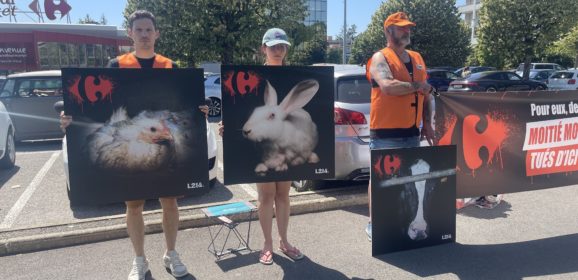 L214 demande à Carrefour de réduire la vente d&rsquo;animaux issus de l&rsquo;élevage intensif