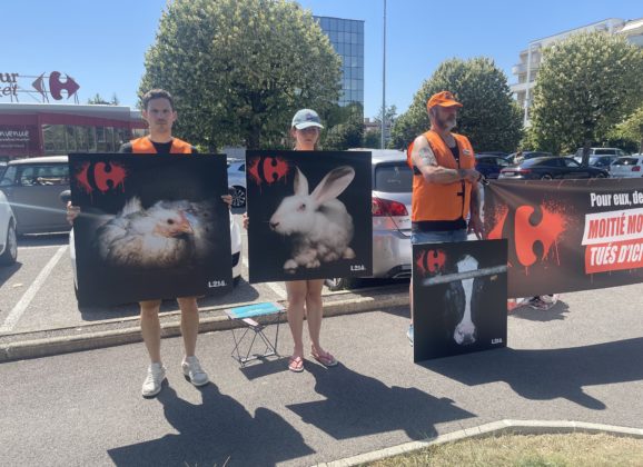 L214 demande à Carrefour de réduire la vente d&rsquo;animaux issus de l&rsquo;élevage intensif