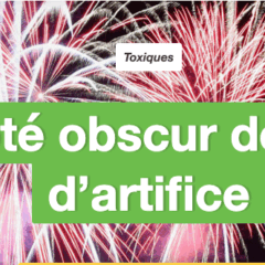 Les militants de Greenpeace explosent contre les feux d&rsquo;artifice. 